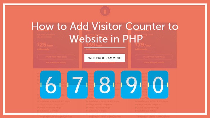 page visit counter html