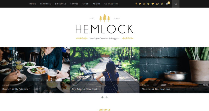 10 Best WordPress Blog Themes of the Year for Professional Blogging