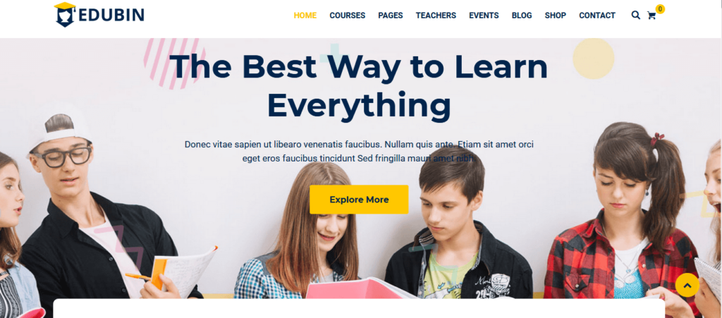 Edubin - Education LMS WordPress Theme