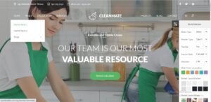 CleanMate - Cleaning Company Maid Gardening WordPress Theme