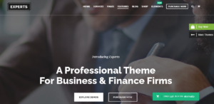 Experts theme