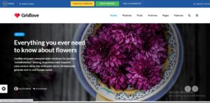 Gridlove - News Portal & Magazine WordPress Theme