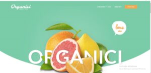 Organici - Organic Store & Bakery WooCommerce Theme