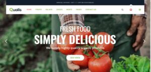 Qualis - Organic Food Responsive eCommerce WordPress Theme