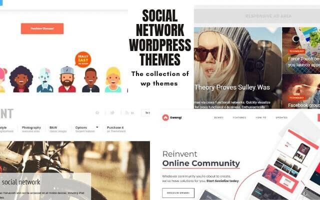 Social Network WordPress Themes