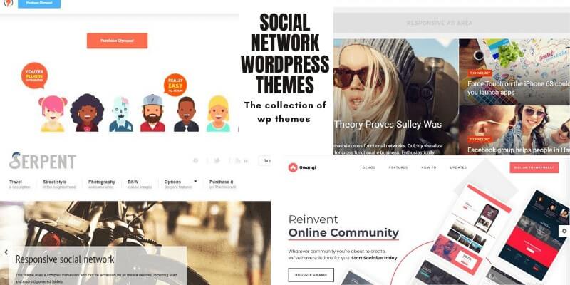 Social Network WordPress Themes