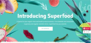 Superfood - Organic Food Products Theme