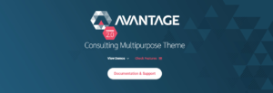 advantage theme