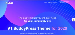 KLEO - Pro Community Focused, Multi-Purpose Buddy Press Theme