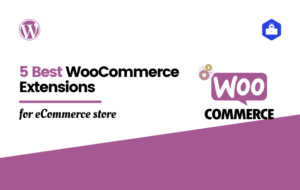 5 Best WooCommerce Extensions