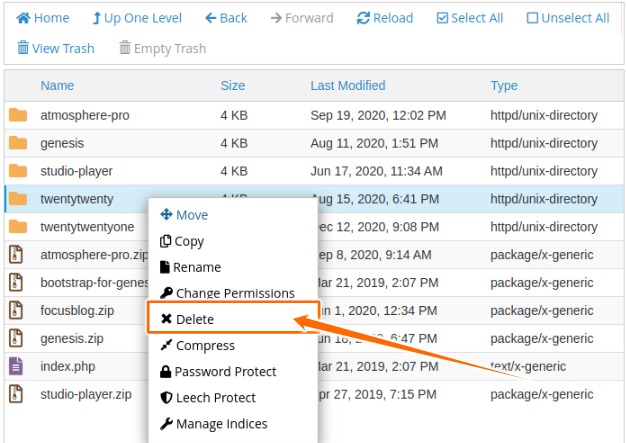 Delete WordPress Theme form File Manager