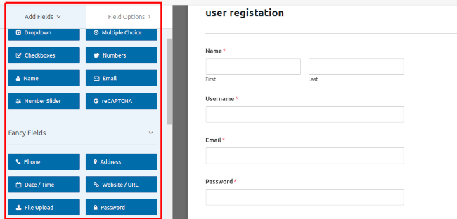 WPForms Fields